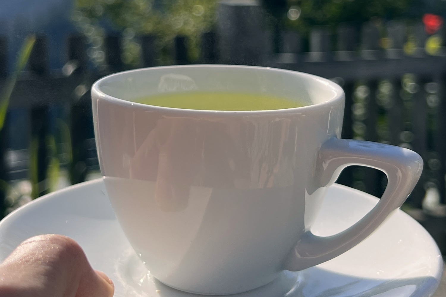 Hand hält eine weiße Tasse mit Tee im Morgenlicht vor einem Holzzaun