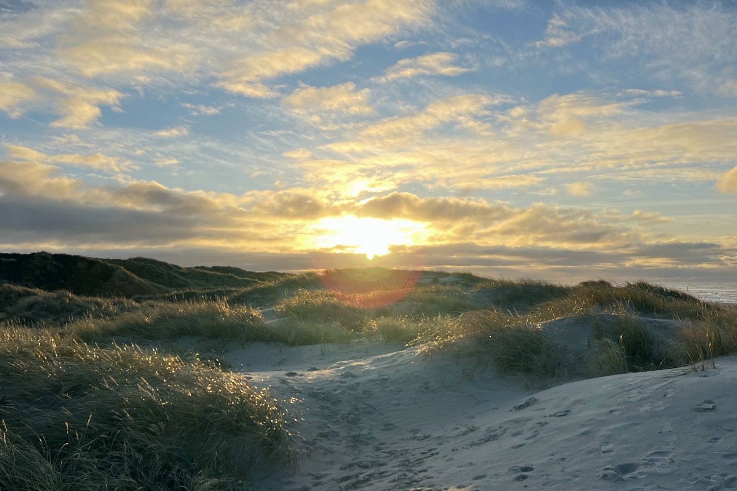 Dünen mit Strandgras im goldenen Licht des Sonnenaufgangs am Meer -Reise zu Dir selbst