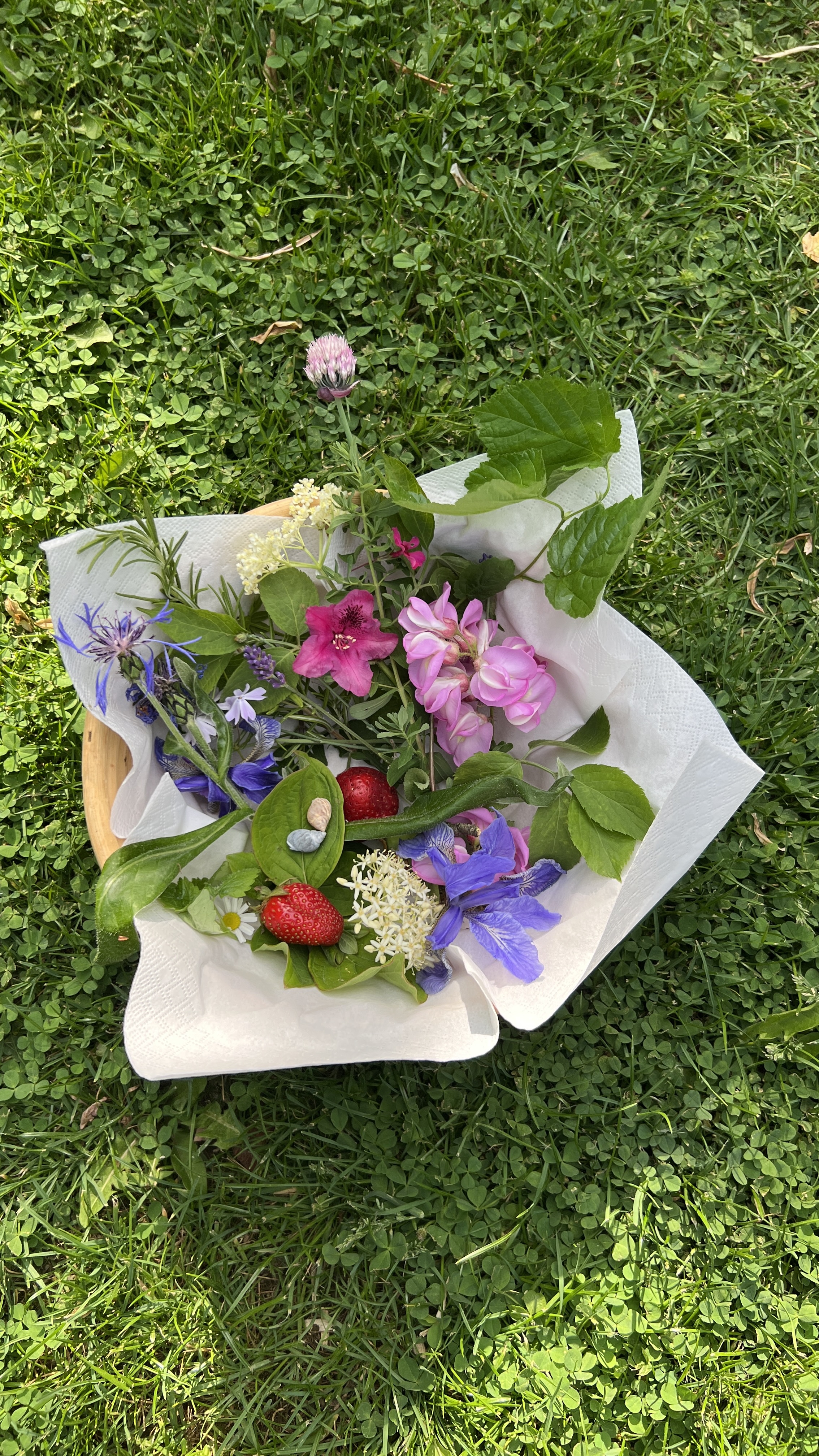 Bunter Teller mit Wildblumen und Erdbeeren auf Gras – Lebensfreude und Herzensmomente