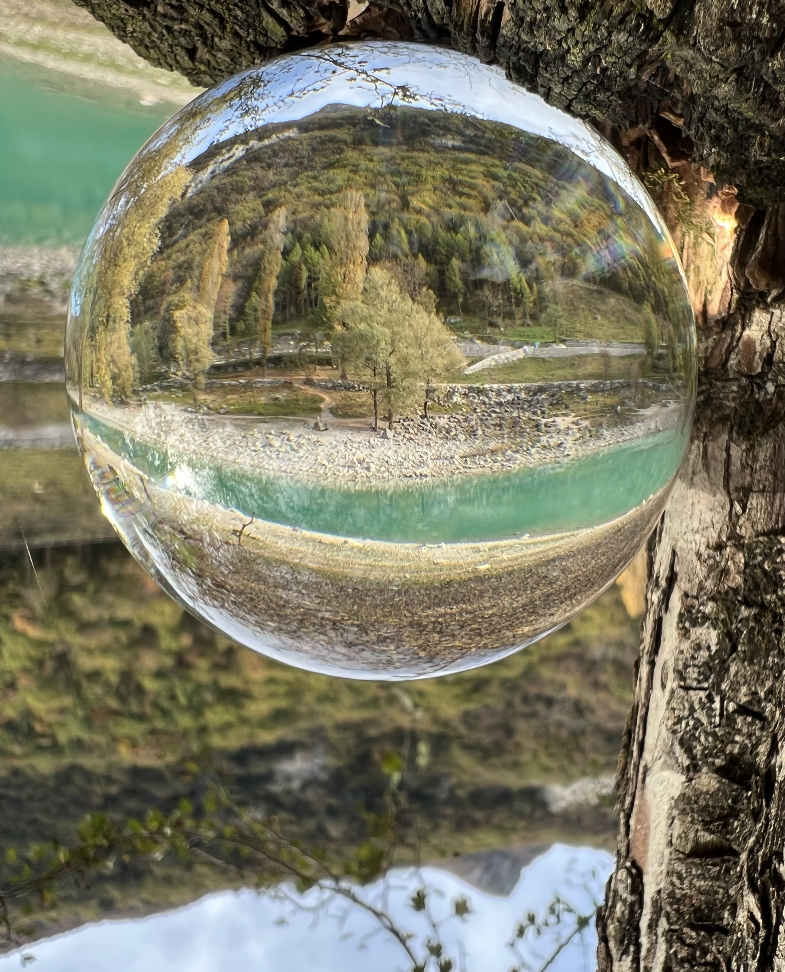 Glaskugel hängt an einem Baum und spiegelt die Natur – neue Perspektive auf das eigene Leben