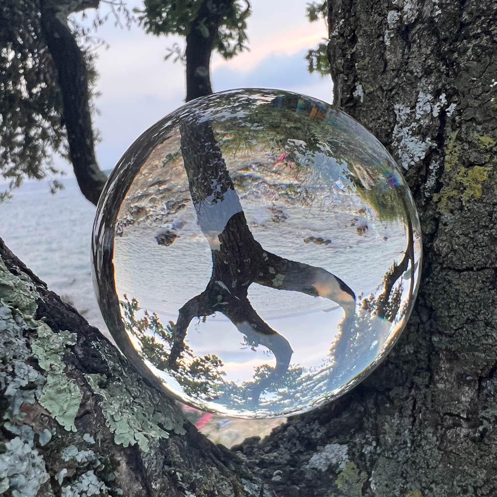 Glaskugel, die in einer Astgabel kiegt und durch die ein Strand im Hintergrund zu sehen ist.