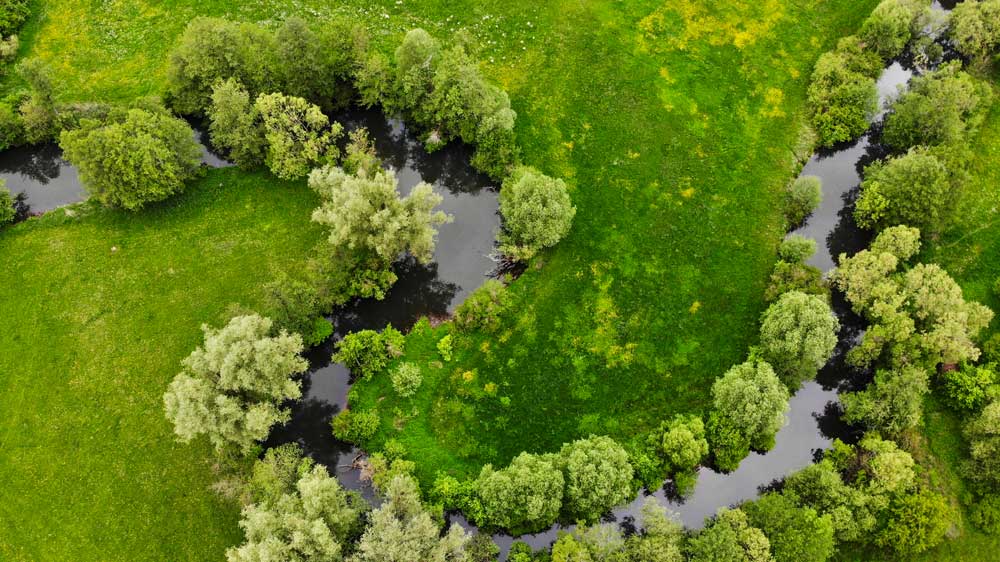 Pegnitz schlängelt sich in natürlichen Kurven durch saftig grüne Landschaft - Symbol für im Fluss sein und Human Design leben.