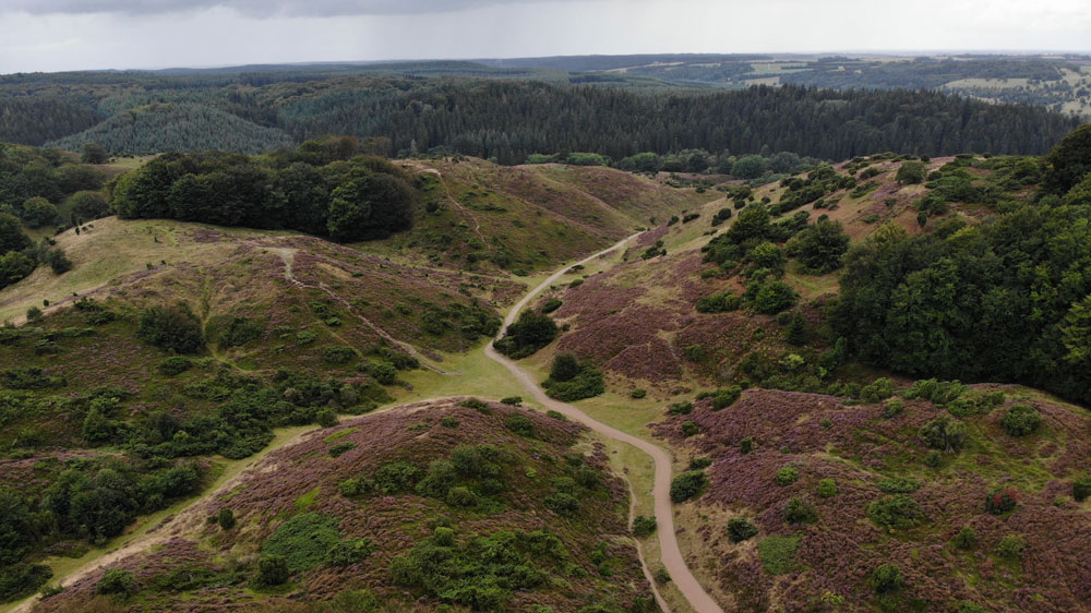 Drohnenaufnahme einer weiten Heidelandschaft mit einem geschwungenen Weg, der in einen Wald führt – Symbol für den persönlichen Seelenweg und innere Orientierung im Leben.