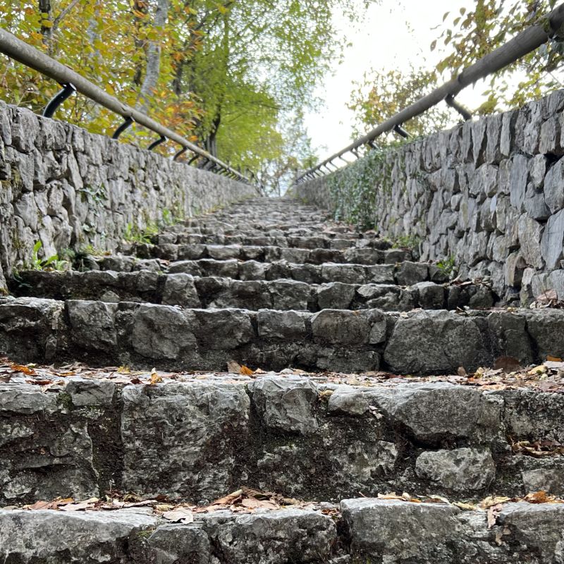 Eine alte Steintreppe führt aufwärts durch herbstliche Bäume – Symbol für den Schritt für Schritt gegangenen Weg der inneren Veränderung und des Blockaden-Lösens