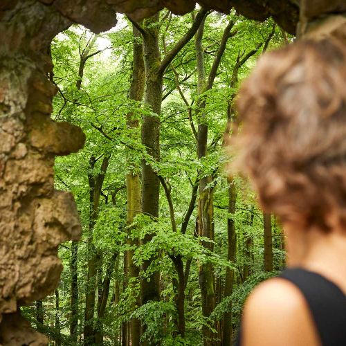 Katrin Strabel geht mit ihrer Labrador Hündin Fina einen sommerlichen Waldweg entlang, beide von hinten fotografiert mit leichtem Blickkontakt zueinander.
