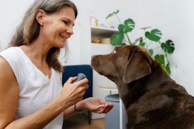 Katrin Strabel und ihre Hündin Fina sitzen im Praxisraum auf dem Boden. Beide schauen sich tief und vertraut in die Augen, während Katrin einen Magneten in der Hand hält. Das Bild zeigt Vertrauen, Spiegelung und Energiearbeit in der Praxis.