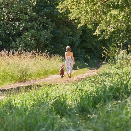 Katrin Strabel geht mit ihrer Labrador Hündin Fina einen sommerlichen Waldweg entlang, beide von hinten fotografiert mit leichtem Blickkontakt zueinander.