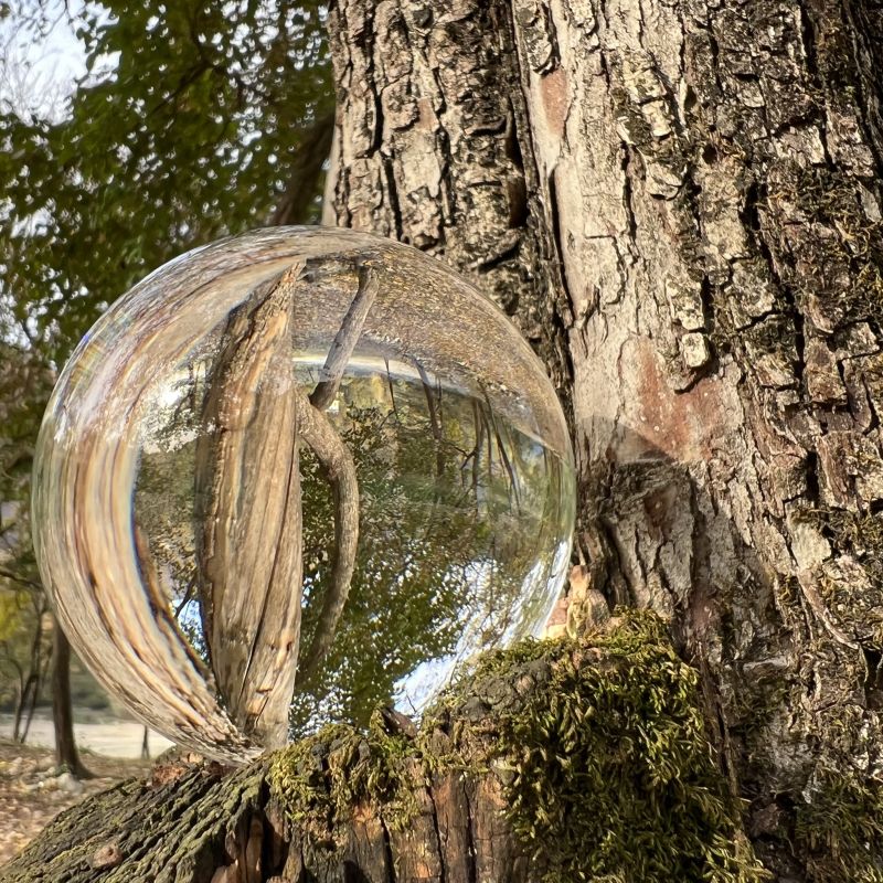 Eine Glaskugel liegt im Moos an einem alten Baumstamm und spiegelt den herbstlichen Wald – Symbol für Spiegelung, Verwurzelung und energetische Verbindungen bei Kafina Coaching