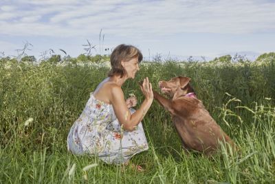 Katrin Strabel und ihre Hündin Fina sitzen sich im Sommerfeld gegenüber in der Hocke und geben sich als Team ein High Five. Der tiefe Blickkontakt zeigt Vertrauen, Verbindung und gemeinsames Wachstum.