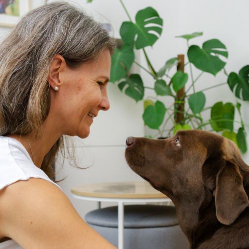 Katrin Strabel sitzt in ihrem Praxisraum Fina gegenüber, beide im tiefen Blickkontakt, als Symbol für Vertrauen, Spiegelung und persönliche Entwicklung.
